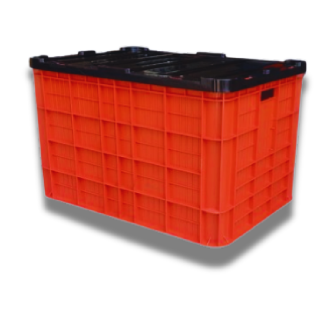 Untitled design (12)