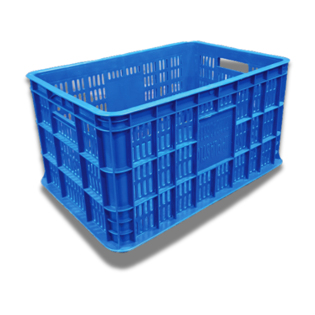 Untitled design (14)