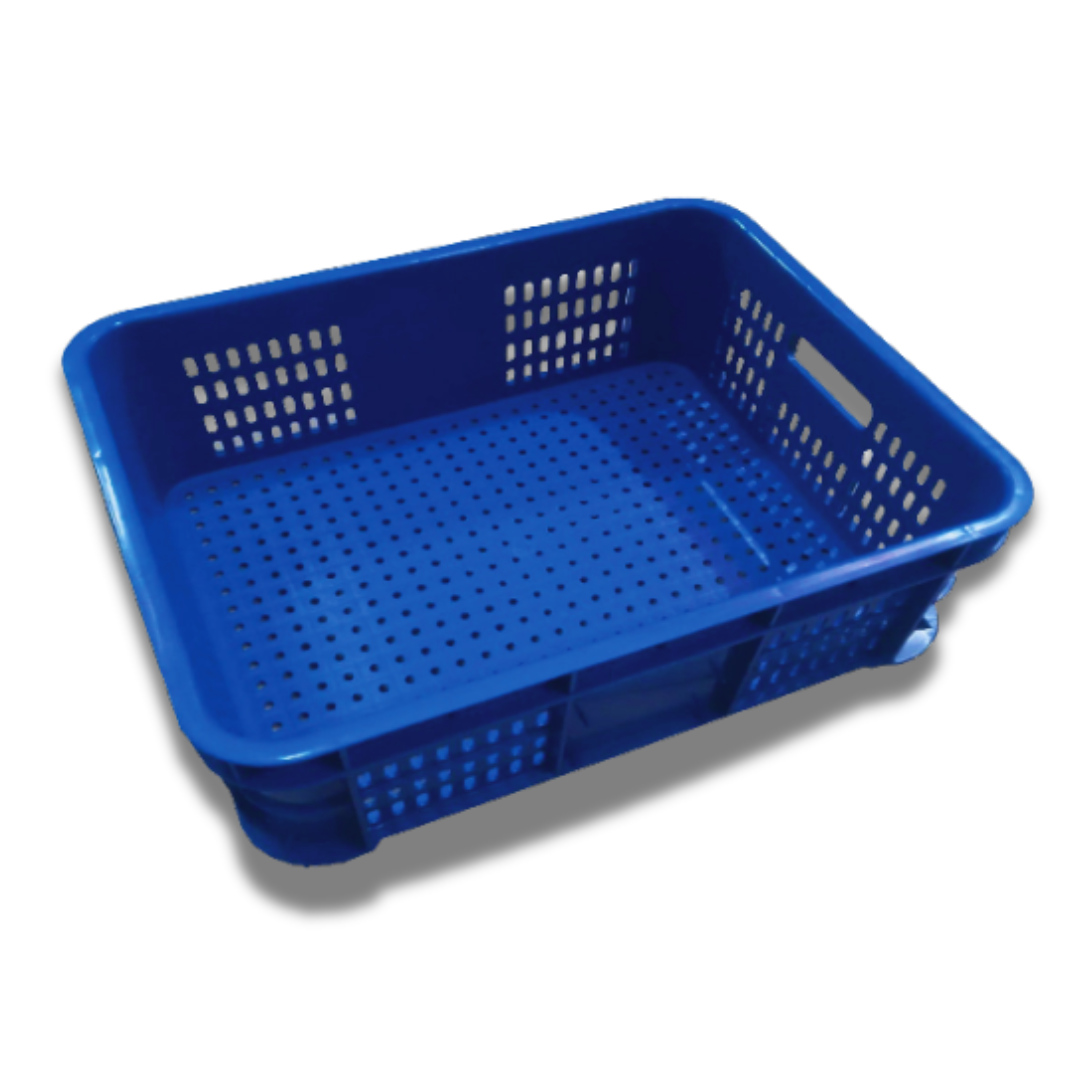 Untitled design (17)